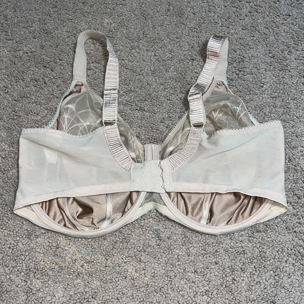 Elomi Cate Side Support Underwire Mesh Embroidered Satin Basic Hazel Bra 38L - Picture 6 of 8